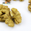 Xinjiang Plant Natural Fresh Light Halves Walnut Kernels